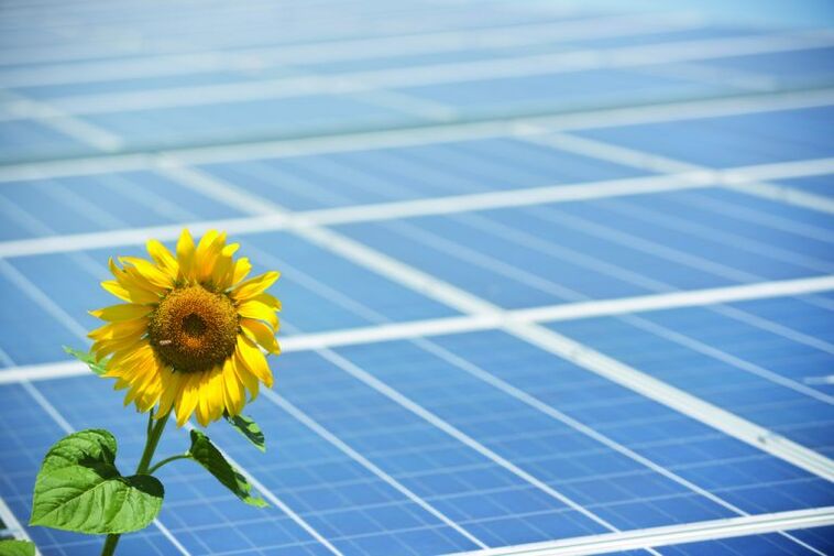 saulėgrąžų ir saulės kolektorių, kad taupytų energiją